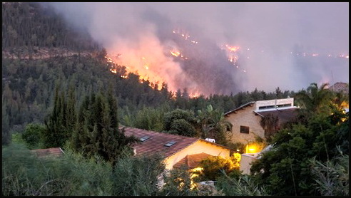 arson