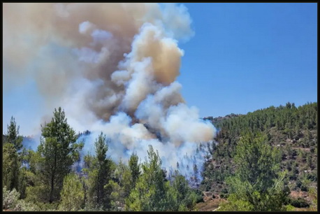 burning Jerusalem